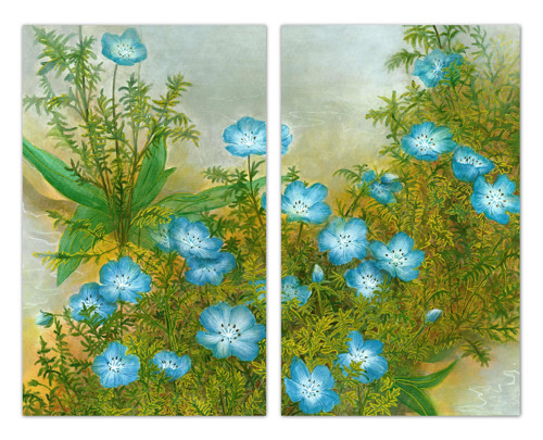 Nemophila Blue Duo Artprint — foto 2
