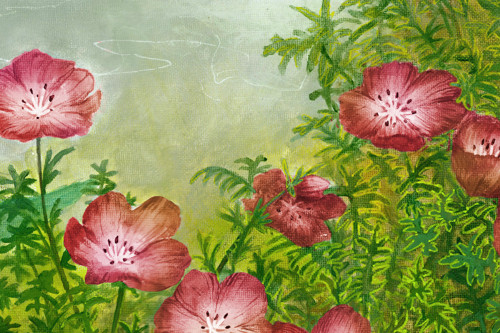 Nemophila Red Duo Artprint — foto 4
