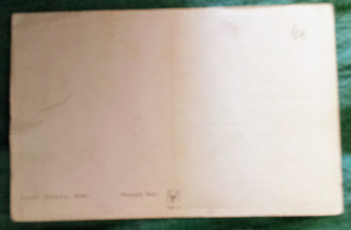Josef Mánes — foto 2