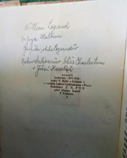 Zlatý chrobák — foto 3