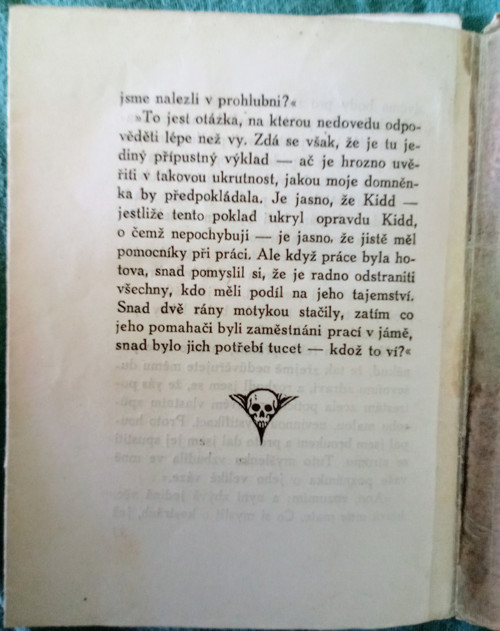 Zlatý chrobák — foto 2