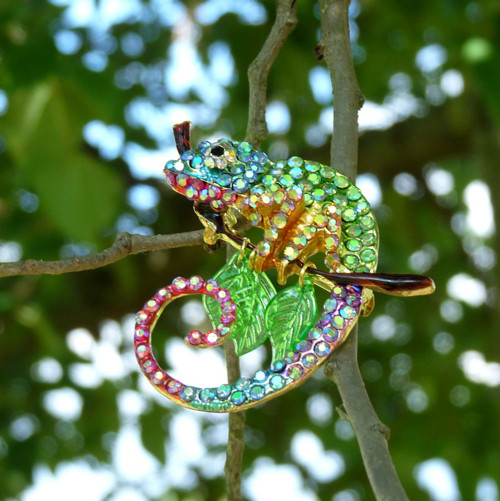 Brož - chameleon — foto 3