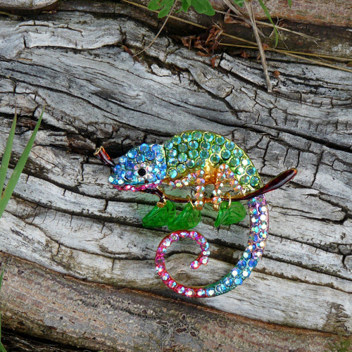 Brož - chameleon — foto 5