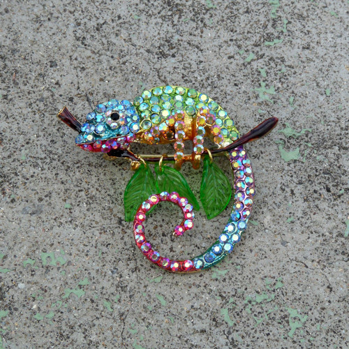 Brož - chameleon — foto 6
