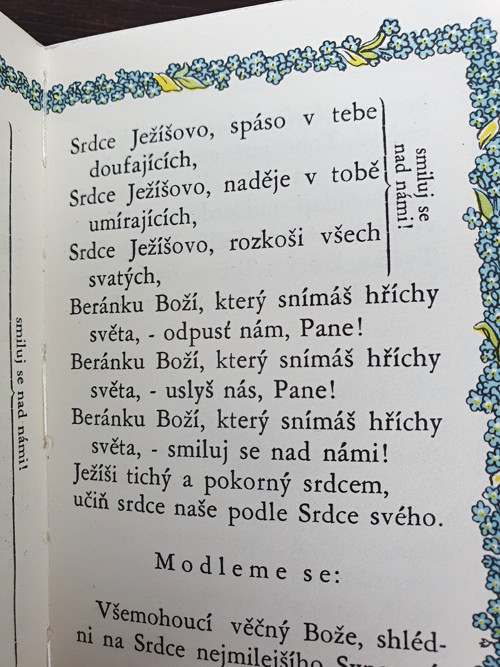 Pomněnky — foto 5