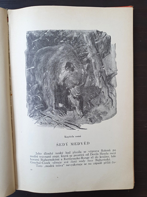 Syn lovce medvědů — foto 4