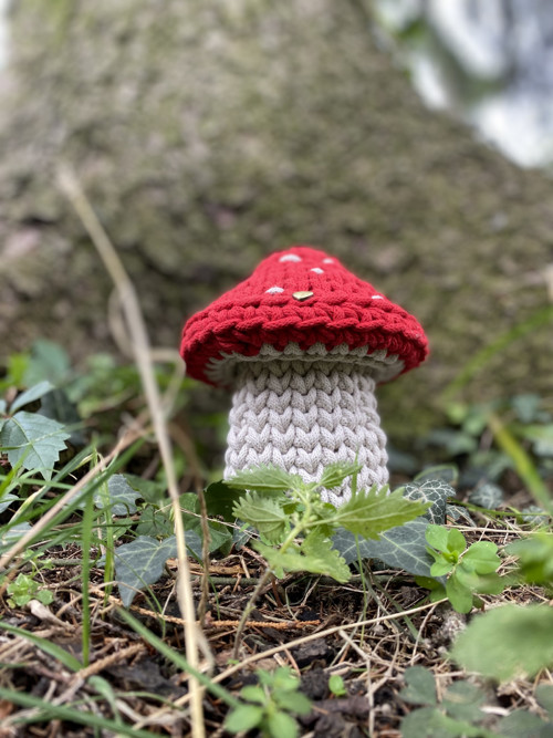 Háčkovaná MUCHOMŮRKA — foto 2