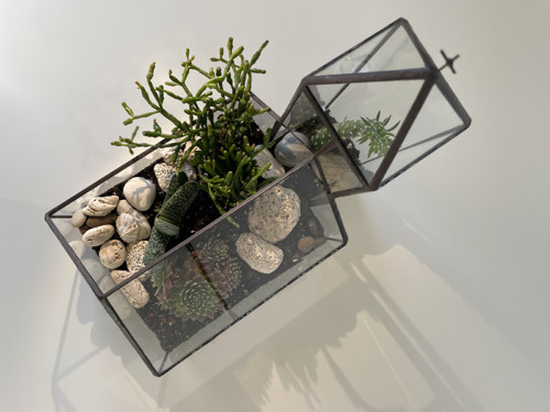 Florarium “Kostelík” — foto 5