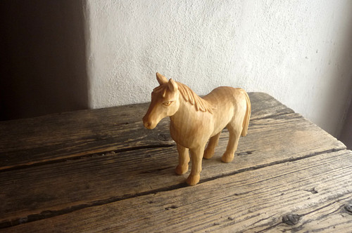 Koník — foto 3