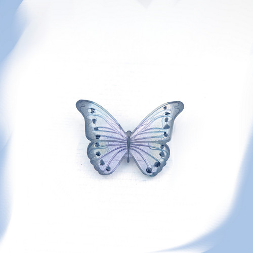 Blue butterfly /25171/ — foto 2