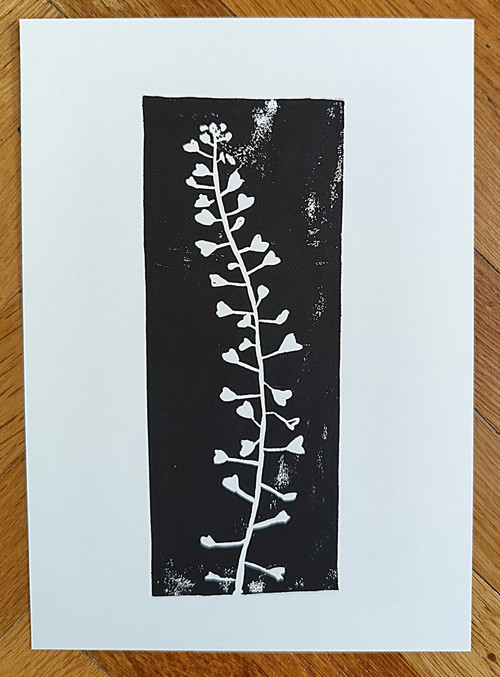 Linoryt 'Kokoška' — foto 3