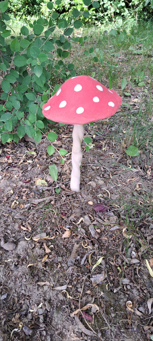 Muchomůrka 12cm průměr kloboučku — foto 3