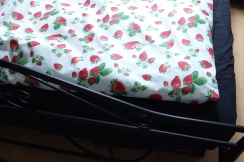 Povlečení jahody — foto 3
