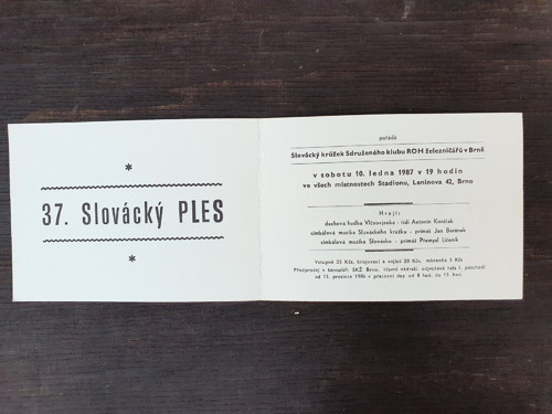Slovácký ples — foto 4