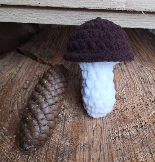 Hříbeček 10 cm — foto 2