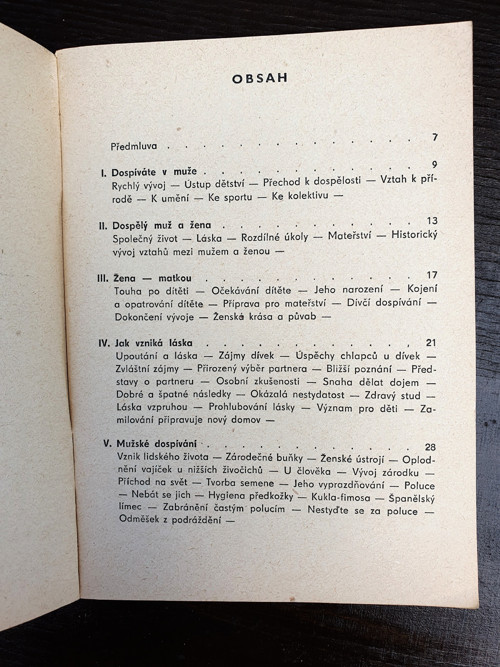 Dospívání — foto 2