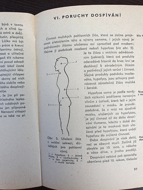 Dospívání — foto 3