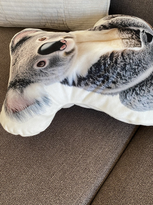 Polštář 3D - Koala — foto 2