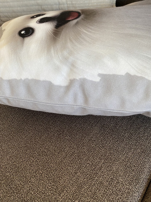 Polštář 3D - Pomeranian pes — foto 2