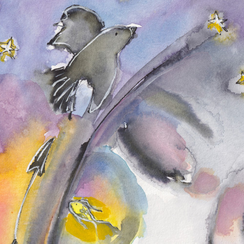 Proměny — foto 3