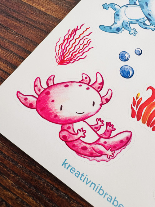 Samolepky č. 55 - Axolotl — foto 4