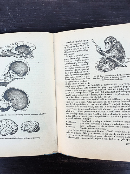 Základy darwinismu — foto 5