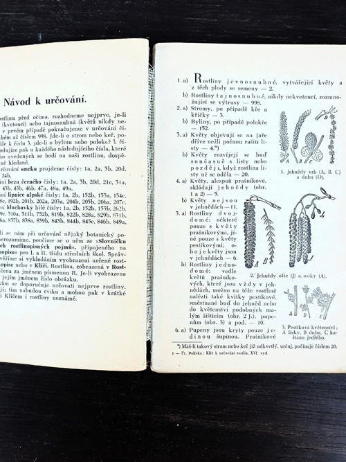 Klíč k určování rostlin — foto 2