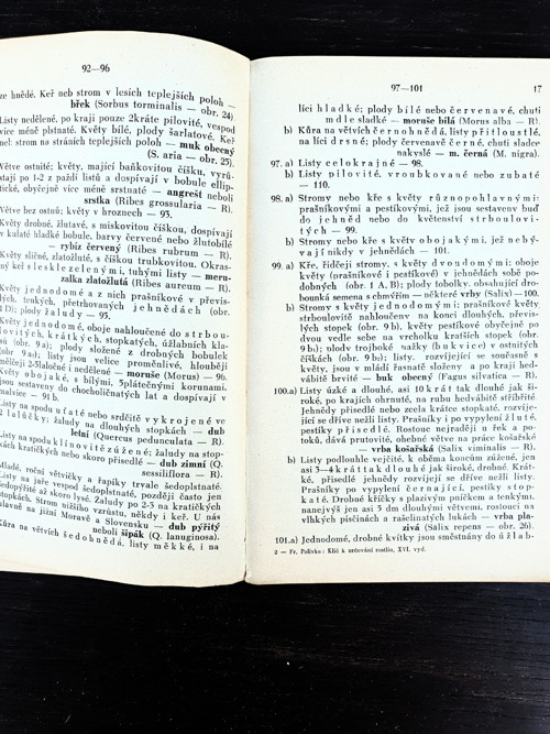 Klíč k určování rostlin — foto 3