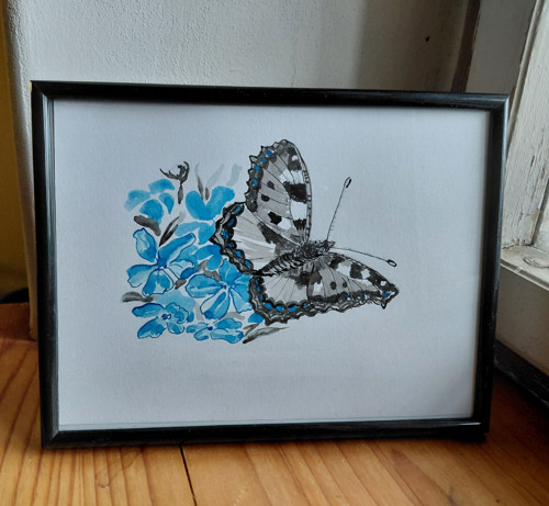 Babočka na modrých květech — foto 3