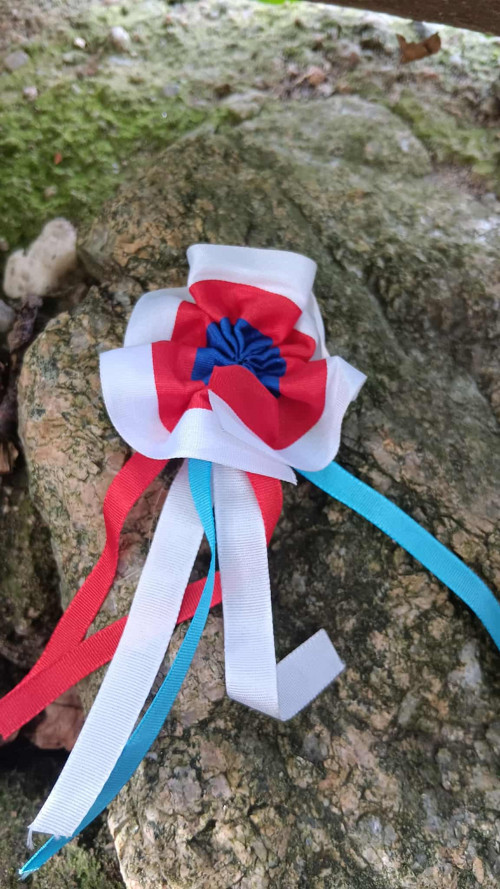 Kotilion do tanečních národní brož — foto 4