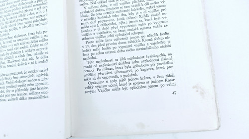 Na prahu manželství — foto 3