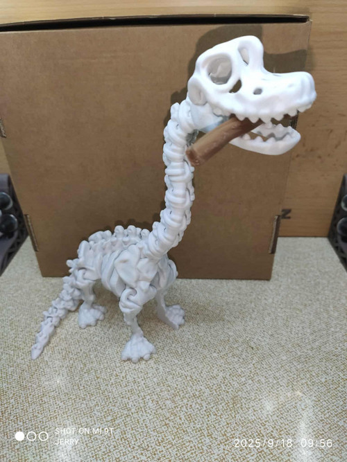 Kostra Brachiosaura — foto 2