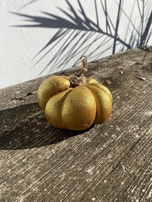 Zlatá dýně — foto 2