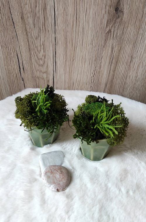 Mechová dekorace mini 3 — foto 2
