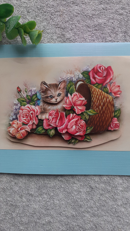 3D přání kočička — foto 2