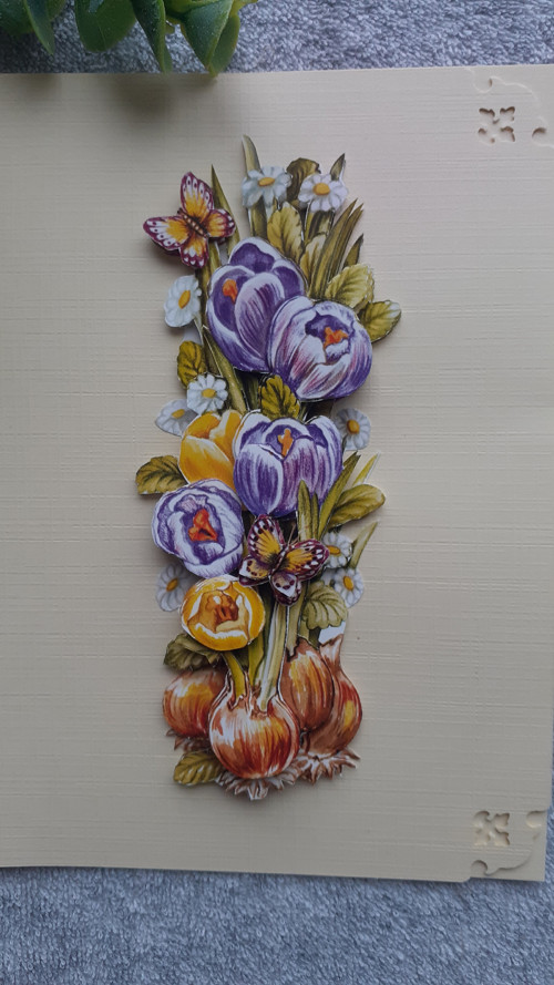3D přání -krokusy — foto 2