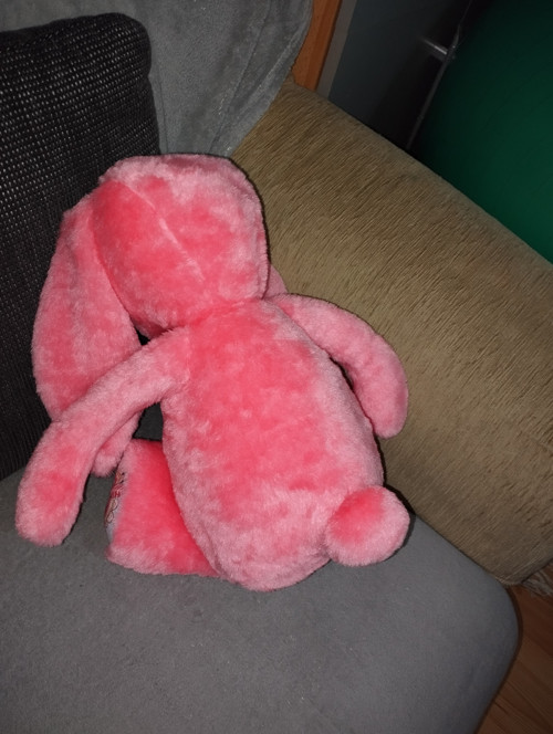 Růžový zajíček — foto 3