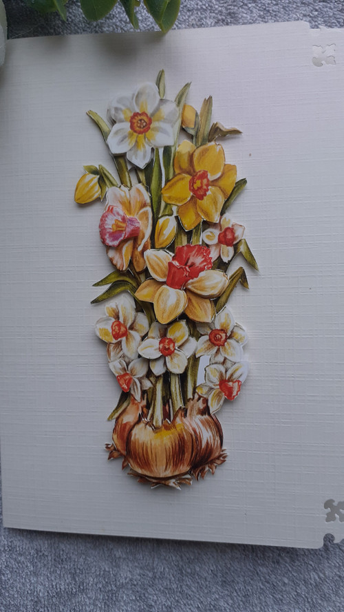 3D přání-narcisky — foto 2