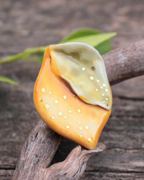 Citron — foto 3