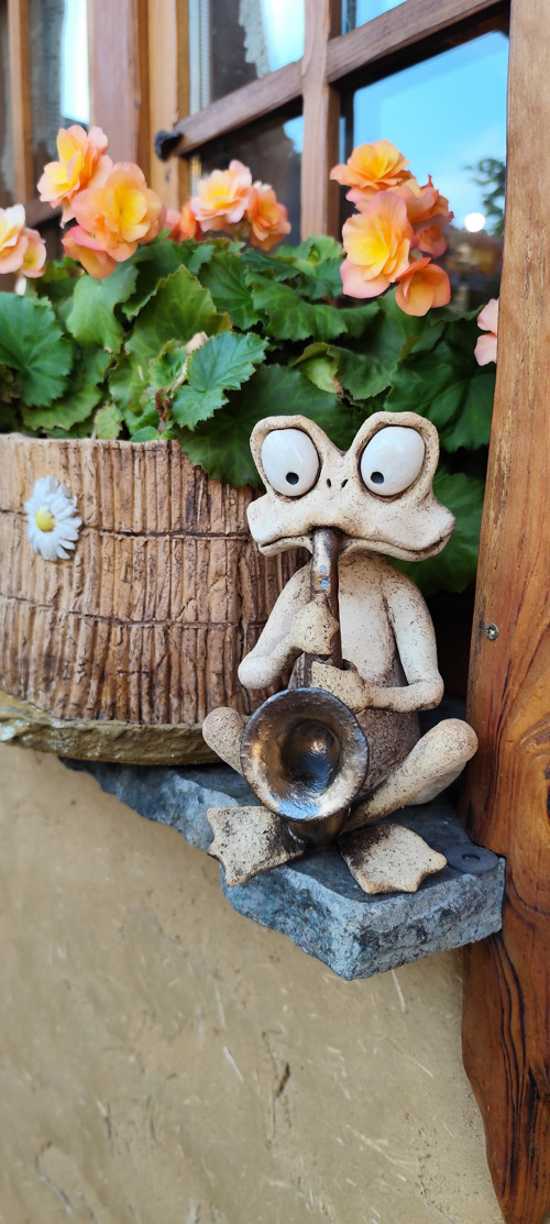 Žabák muzikant - saxofon — foto 2