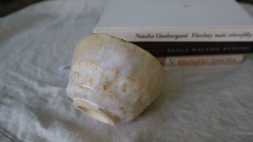 Kalíšek natori — foto 2