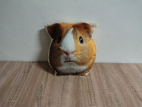 Morče zlaté - 3D polštář — foto 2