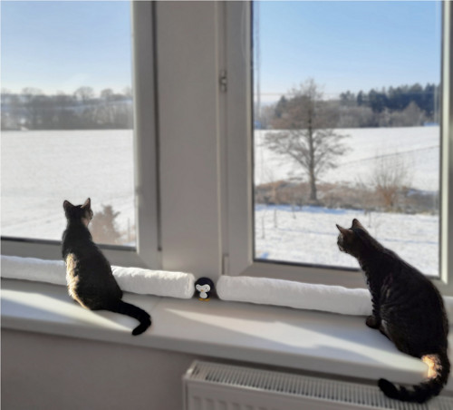 118x8 cm Válec proti průvanu, bílý, 100% bavlna — foto 3