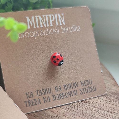 Skoroopravdická beruška pro štěstí | minipin — foto 2