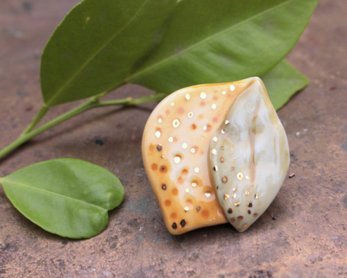 Zralý citron — foto 2