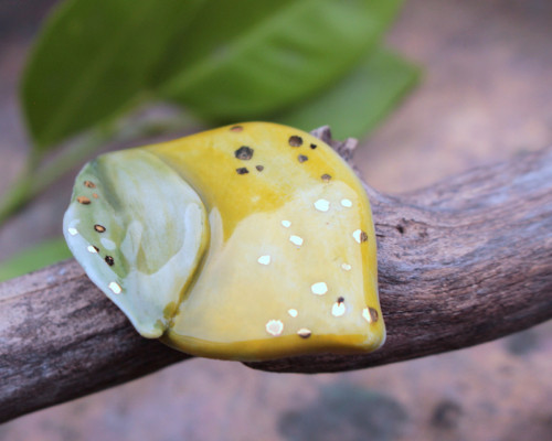 Limetkoidní Citron — foto 2