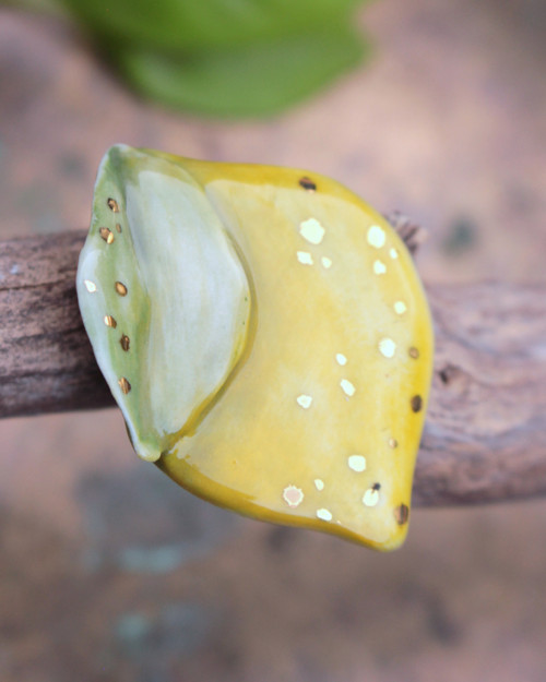 Limetkoidní Citron — foto 3