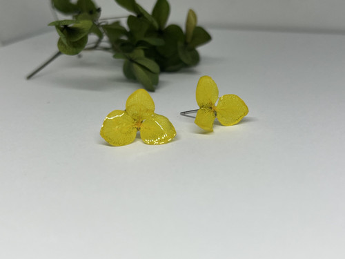 Žluté pecky hortenzie — foto 2