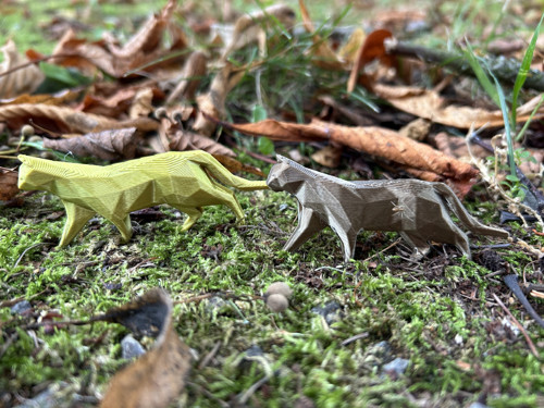 Kočka polygon gold — foto 2