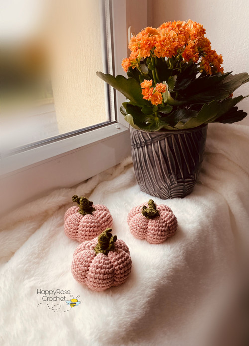 Dýně háčkovaná (Rose) — foto 2